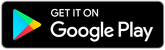 Display image of the Google Store