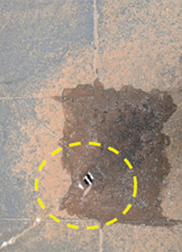 Check that balcony drains and overflows are unblocked, clean and functioning at full capacity to prevent any problems.