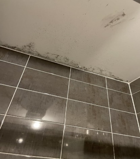 Mould is visible on the ceiling near the top of dark bathroom tiles