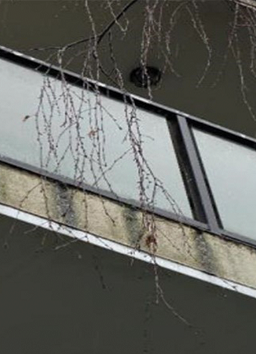 Water marks on the exterior walls might be an indication of problems such as a blocked balcony drain, inadequate falls, or improper capping. 