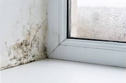 Black mould and cracks are visible next to a window frame