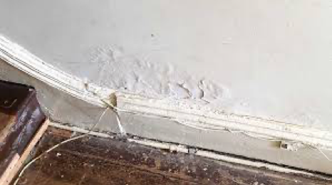 Wall paint is bubbled and peeling close to a skirting board and wooden floor